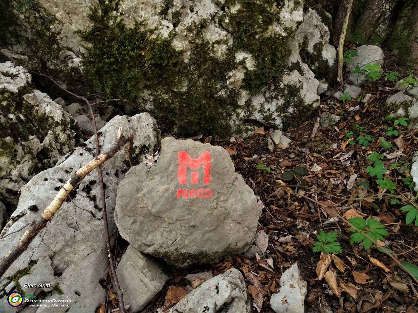 51 Salendo per sentiero poco conosciuto (oltre al bollo rosso su albero presente anche questo segnale)  in Canto Alto.JPG